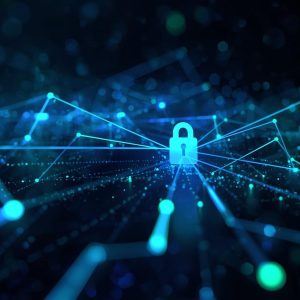 Insignis West Cyberconsulting